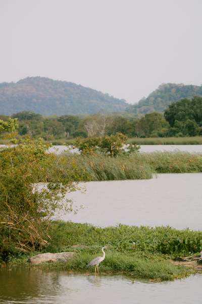 Experience image 28