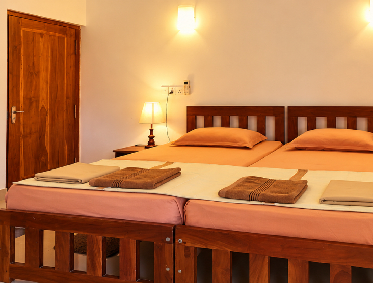 Standard Deluxe Double Room